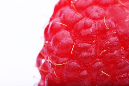 Macro view of a raspberry on white background 