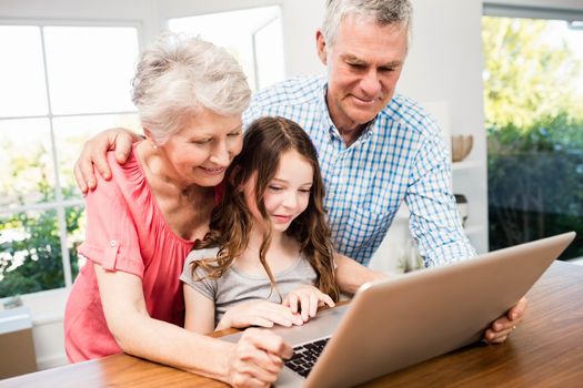 Portrait of smiling grandparents and granddaughter using laptop at home