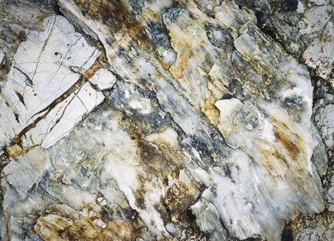 background abstract limestone and silica texture