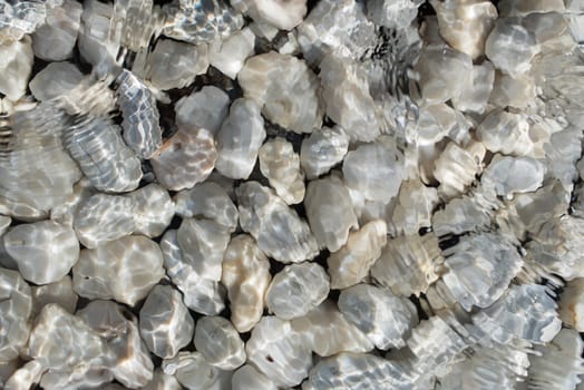 Sea stones under water on background.