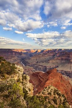 Vertical view of Grand Canyon, USA.