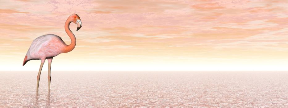 One pink flamingo standing in the water by sunset - 3D render