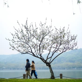 HANGZHOU, CHINA - April 13, 2011 : View in the mist of Xihu, the west lake in hangzhou china, this is image of Chinese couple walking by the lake