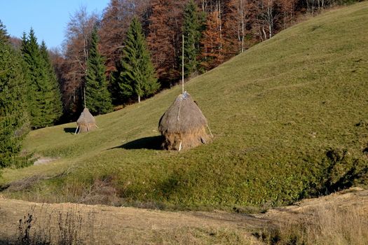 Animal herbs to dry for winter.
Summer mountain farmers make hay supplies for livestock
