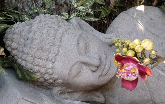 Buddha head statue laying sleeping with an orchid