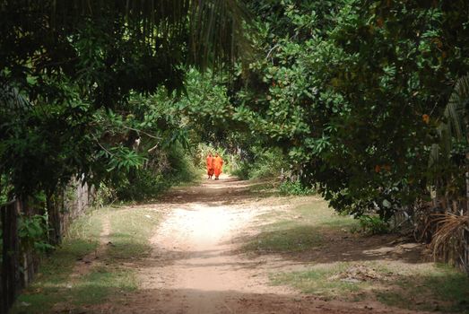 Two buddhist monks walking on a path through nature
