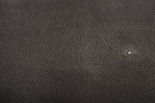 Stingray exotic fish leather, hide in steel color