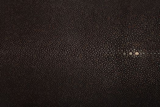 Stingray exotic fish leather, hide in black color skin