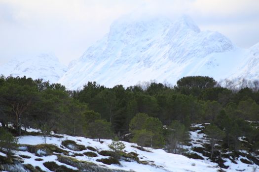 Nature,
Montain,
Forests,
Norway,
Winter