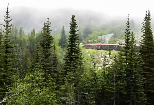 Railroad from Skagway, Alaska heading up to the Canadian border. The White Pass line takes tourists on excursions on the old rail line used for the gold rush.