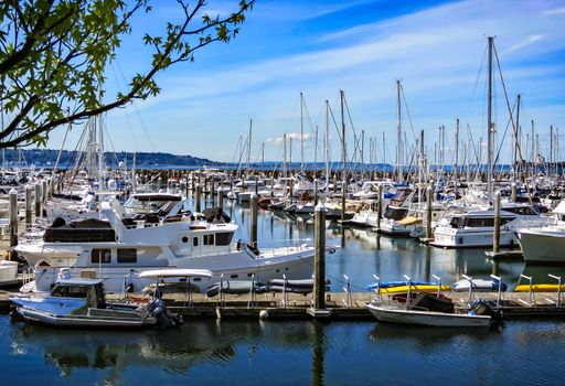 Seattle, Washington, USA- June 15, 2012: A large amount of private boats and yachts are moored in the harbor at Elliott Bay Marina in Seattle. The marina is inside Smith Cove.