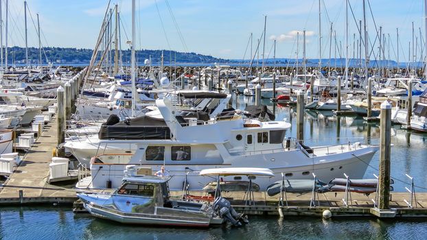 Seattle, Washington, USA- June 15, 2012: A large amount of private boats and yachts are moored in the harbor at Elliott Bay Marina in Seattle. The marina is inside Smith Cove.