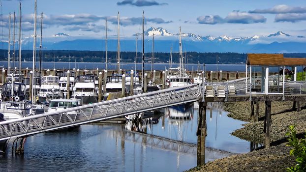 Seattle, Washington, USA- June 15, 2012: A large amount of private boats and yachts are moored in the harbor at Elliott Bay Marina in Seattle. The marina is inside Smith Cove. Peaks in Olympic National Park can be seen in the distance.