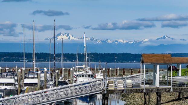 Seattle, Washington, USA- June 15, 2012: A large amount of private boats and yachts are moored in the harbor at Elliott Bay Marina in Seattle. The marina is inside Smith Cove. Peaks in Olympic National Park can be seen in the distance.