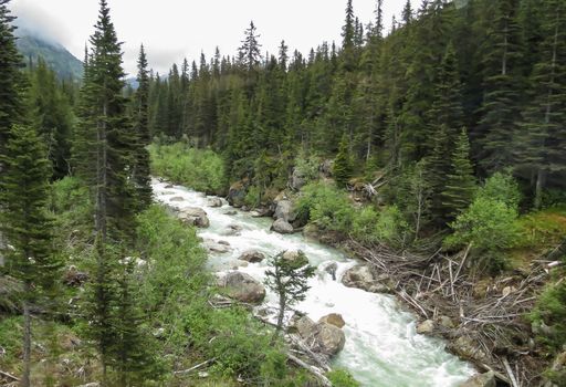 Skagway River in Alaska as seen from the White Pass Railroad.