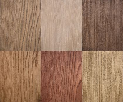 Types of wood texture. Use in interior design