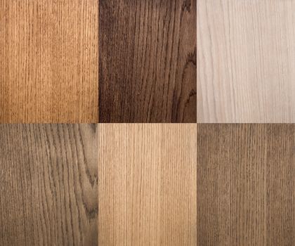 Types of wood texture. Use in interior design