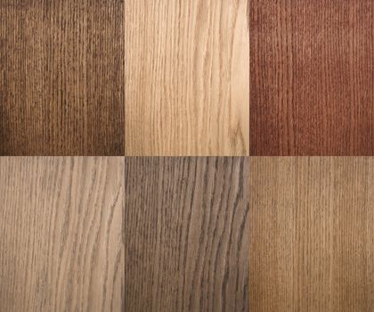 Types of wood texture. Use in interior design