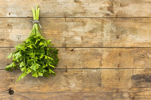 Bunch of flat leaf parsley