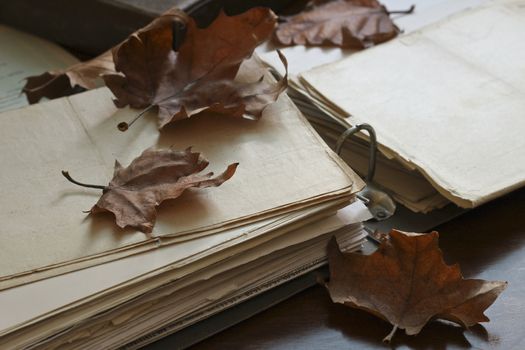 Folder with old documents,natural light

