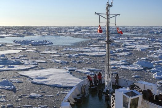 A tourist icebreaker and sea ice off the coast of eastern Greenland.