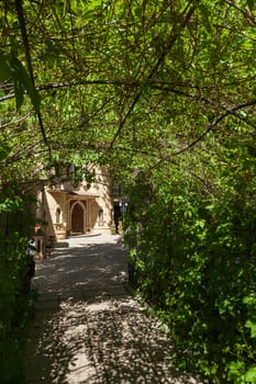 arch the leader braided by a grapevine to the building