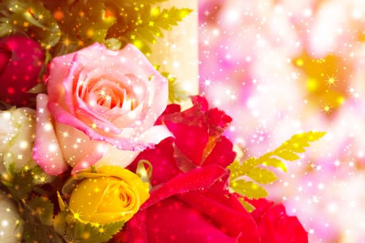 beautiful background with flowers roses, valentine background, flowers background