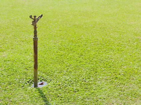 sprinklers on green lawn