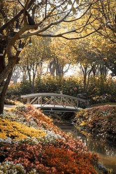 wooden bridge in flower garden on morning sun light sepia color