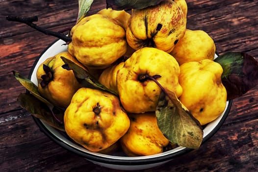 juicy,ripe quince fruit on wooden top