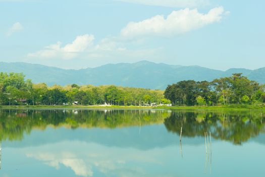 Nhong Bua Lake Chiang Rai , Thailand