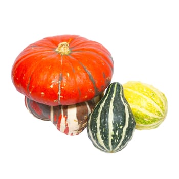 Three colored pumpkins isolated on white.