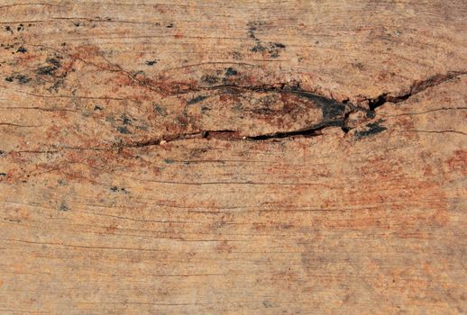 old grunge wood texture yellow brown color