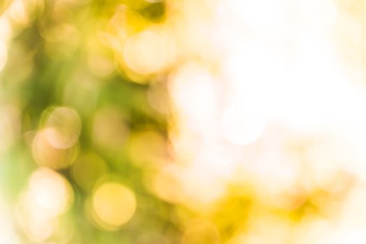 yellow abstract bokeh background