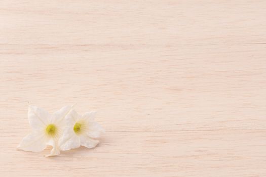 white flower on wood background