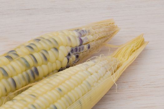 waxy corn,waxy maize on wood background