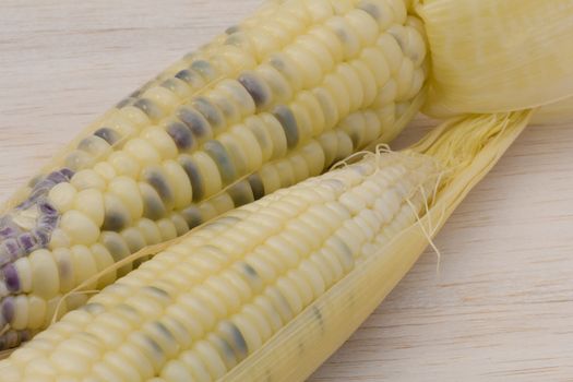 waxy corn,waxy maize on wood background
