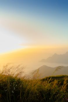 Sun rise at phu chi fa cliff chiang rai Thailand