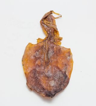 Dried Squid Isolate on white background