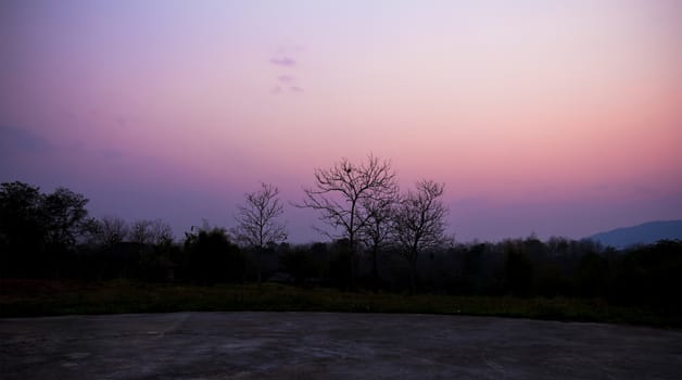 Twilight foggy sunset sky background