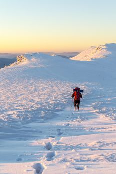 Tourist walking on a mountain ridge and left a trail in the snow. Evening. Winter hiking in the Carpathian mountains