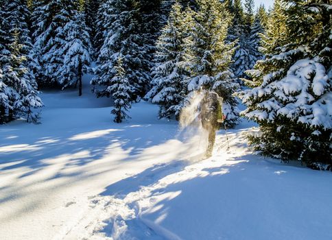 Tourist walking on snow and raises snow dust. Winter hiking. Sunlight. Long shadows. Forest