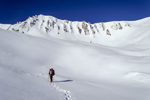 Winter trekking in high snowy mountains. A tourist walks to a rocky slope, and leaves traces on the snow. Sunny weather. Ukraine. Carpathians