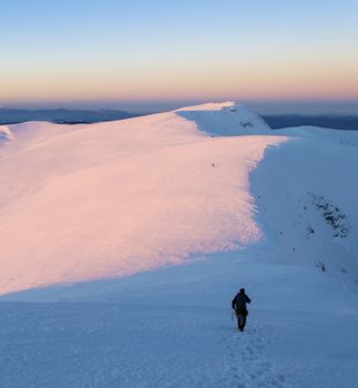 Man walking on a mountain ridge and left a trail in the snow. Dusk. Pink light. Clear sky. Blue shadows. Winter hiking in the Carpathian mountains. Ukraine