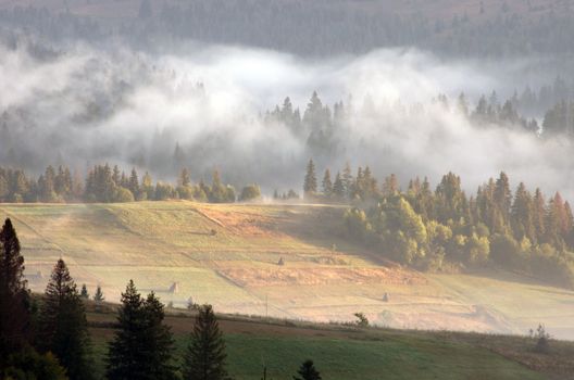 Amazing mountain landscape with dense fog. Carpathian Mountains