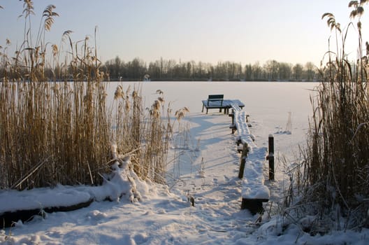 ice on reedy banks of winter lake