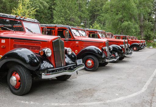 Glacier National Park, Montana, USA-July 11, 2015: The famous Red Bus vehicles of the parks service await passengers to tour Going to the Sun Road inside the park.
