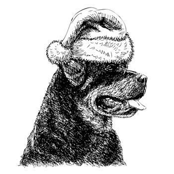 Rottweiler with santa claus hat hand drawn vector , use for christmas background
