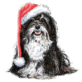 Shih Tzu with santa claus hat hand drawn vector , use for christmas background