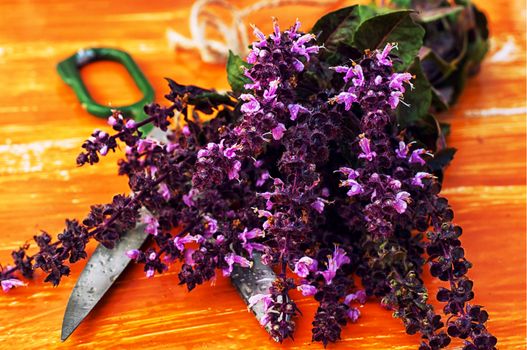 Bouquet from cut branches of fragrant lavender on vintage background